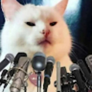 Meet your Posher, Danni